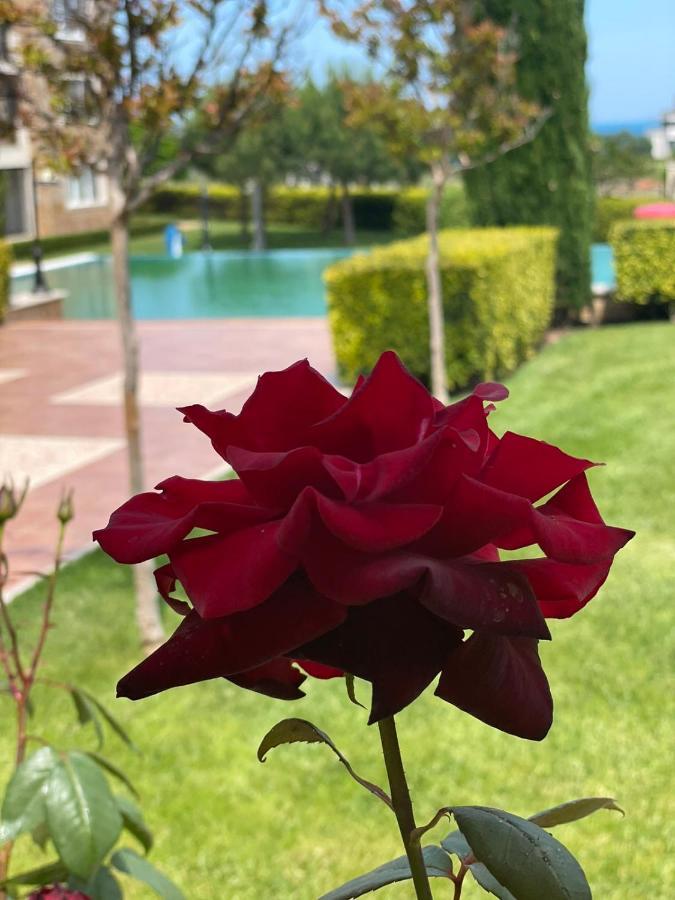 Provence Deluxe Apartment In Atia Resort Csernomorec Kültér fotó