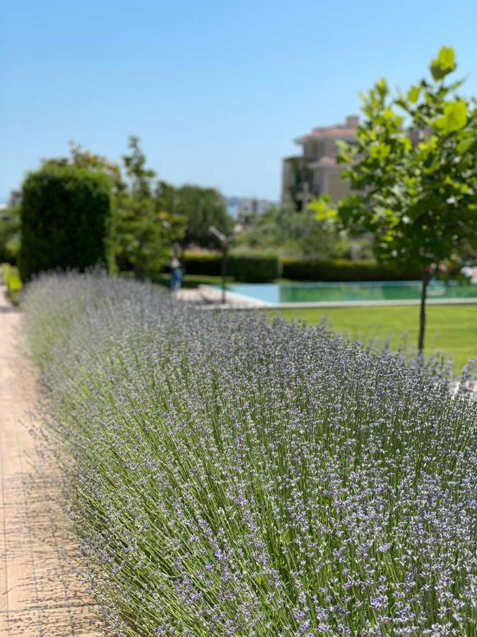Provence Deluxe Apartment In Atia Resort Csernomorec Kültér fotó
